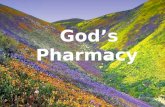 God s pharmacy