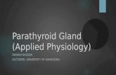 Parathyroid gland (applied physiology)