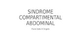 Sindrome compartimental-abdominal