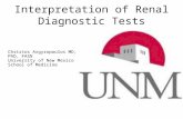 Interpretation of renal diagnostic tests