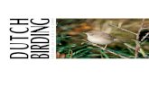 30 jaar Dutch Birding, deel 2
