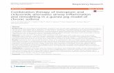 Combination therapy of tiotropium and ciclesonide attenuates ...