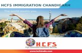 HCFS Immigration Chandigarh - The Best Business Visa Consultant Punjab
