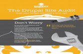 The Drupal Site Audit