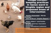 An overview of village chicken-keeping practices  in Sanza ward in Singida region and proposed areas of intervention