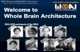 Welcome to Whole Brain Architecutre