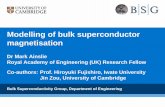 Modelling of bulk superconductor magnetisation