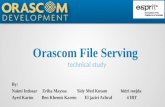 Orascom-tehnical study final