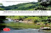REDD+ in Indonesia 2010-2015