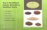 Top 5 healthiest seeds benefits & nutrition facts