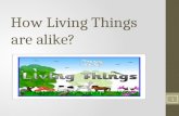 Ch.1,l1, how living things are alike