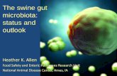 Dr. Heather Allen - The Swine Gut Microbiota: Status and Outlook