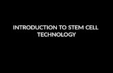 Introduction to stem cell notes