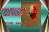 Wildflowers   Poppy      Pipacsok