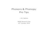 Phonons & Phonopy: Pro Tips (2014)