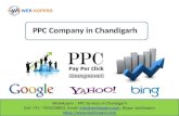 PPC Services in Chandigarh | WebHopers
