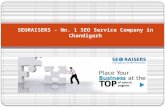 Seoraisers - No. 1 SEO Company in Chandigarh