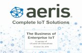 The Business of Enterprise IoT: A survey of US and UK Executives