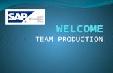 sap b one production module
