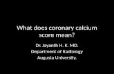 What does coronary calcium score mean ?