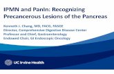 IPMN and PanIn: Recognizing Precancerous Lesions of the Pancreas