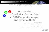 Introduction of JMA VLab Support Site on RGB Composite Imagery ...