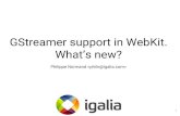 GStreamer support in WebKit. What's new? (GStreamer Conference 2015)