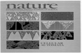 Cellular Automata as Models of Complexity » Wolfram, S. Nature 311