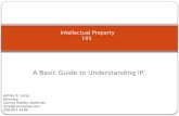 Intellectual Property 101 - A Basic Guide to Understanding IP.