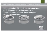 Module 5 – Statement of Comprehensive Income and Income ...