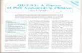 Q.U.E.S.T.: A Process Q