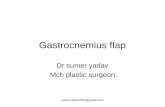 gastrocnemius flap