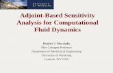Adjoint-Based Sensitivity Analysis for Computational Fluid Dynamics
