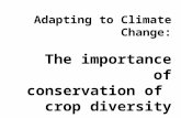Crop diversity and climate change