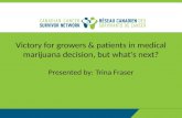 Medical Marijuana in Canada - Has Everything Changed?