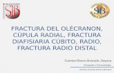 FRACTURA DEL OLÉCRANON, CÚPULA RADIAL, FRACTURA DIAFISIARIA CÚBITO, RADIO, FRACTURA RADIO DISTAL