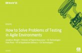 How to Solve Problems of Testing in Agile Environments