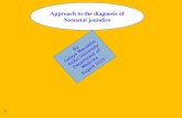 approach to the diagnosis of Neonatal jaundice