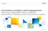Consumer insights and engagement: Delivering a differentiated brand experience with precision marketing