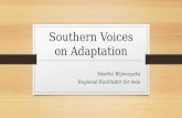Southern Voices on Adaptation