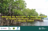 Enhancing the Resilience of Coastal Wetlands to Promote Sustainable Livelihoods in Changing Climate