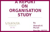 Vivanta By TAJ- Organisational Study