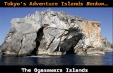The Ogasawara Islands - -  Tokyo's Adventure  Islands