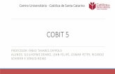 Cobit 5 | Seminário