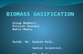 Biomass Gasification presentation