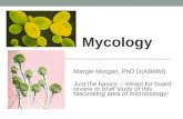 Mycology 2016