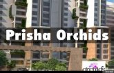 Prisha Orchids