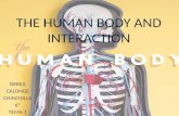 The human body and interaction