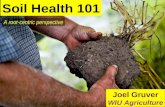 Soil Health - a root-centric perspective
