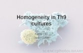 Summer research Homogenity in Th9 cultures 2